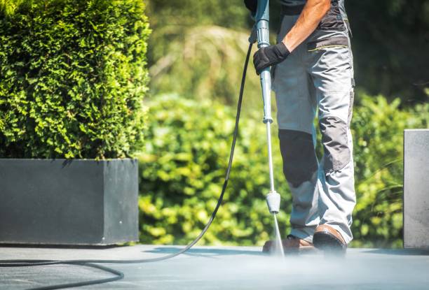 Best Parking Lot and Garage Cleaning  in Windsor, IL