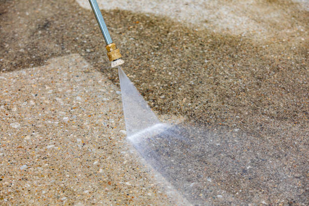 Best Soft Washing  in Windsor, IL